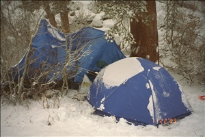 9400 1257 ca az etcIMG0096.jpg